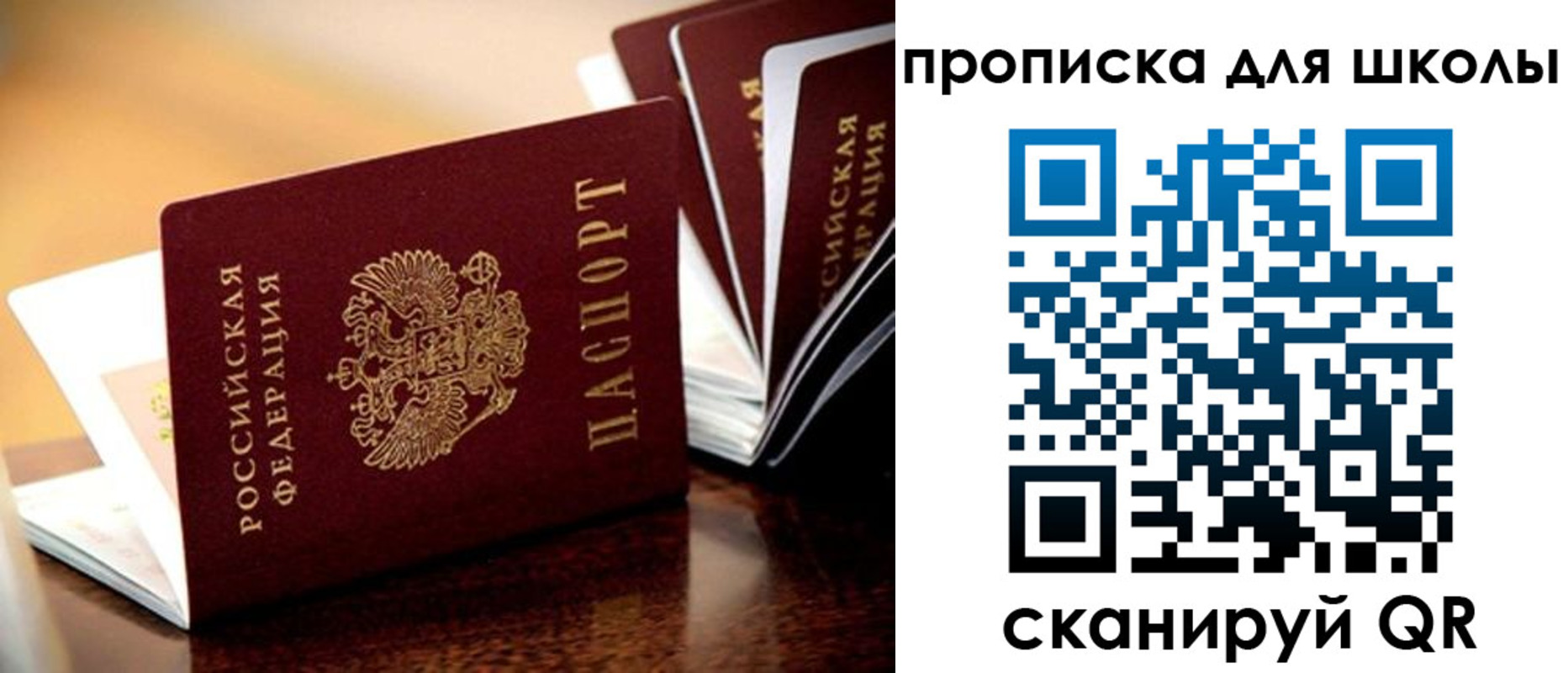 временная регистрация гарантия в Твери